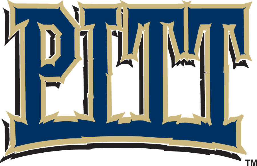 Pittsburgh Panthers 1997-2005 Wordmark Logo diy iron on heat transfer